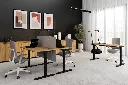 pol_pl_Biurko-FLEXI-140-cm-regulowane-podnoszone-elektryczne-komputerowe-Dab-Artisan-Czarny-14708_9.webp