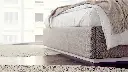 Viola - new - cam04.webp