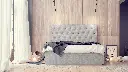 Diplomat - cam01.webp