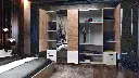 МС Integra- конф. 1 cam04.webp