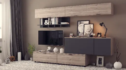 Секция Era — снимка 2
